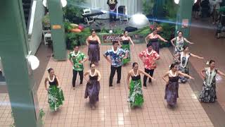 Mele Ohana ハラウ オ ナ プア ククイ クム エドコリア 2013年 Hālau O Na Pua Kukui [upl. by Ahcsatan139]