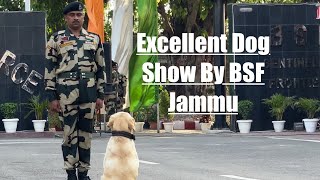 Excellent Dog Show Performance By BSF Jammu  15 August Special Video dog [upl. by Eneirda842]