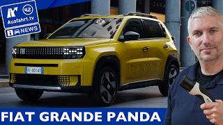 Meine Meinung zum FIAT Grande Panda Der wird ein grosser Erfolg  AusfahrtTV News [upl. by Ireva]