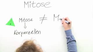 GRUNDLAGEN DER MITOSE  Biologie  Genetik und Entwicklungsbiologie [upl. by Christis]