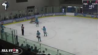 Bristol Huskies Vs Streatham Storm [upl. by Oliric20]