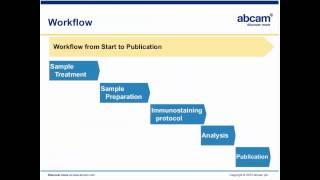 Principles of Immunohistochemistry IHC [upl. by Letnom]