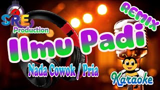 Ilmu Padi Karaoke Nada Cowok Didik Budi Feat Sadewok Cipt Didik Budi amp Sadewok [upl. by Wakefield714]