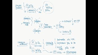 ✅Como TOMAR UNA GASOMETRIA ARTERIAL  TUTORIAL  ENFERMERIA [upl. by Oniotna]