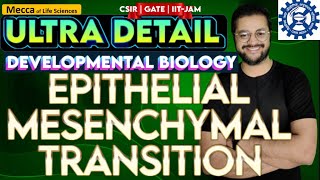 Epithelial Mesenchymal Transition EMT  Developmental Biology  20222023  csir [upl. by Leuqer]