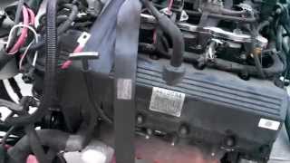 9904 Ford Mustang GT 46 2v Engine removal amp replace project 1 [upl. by Alehs]