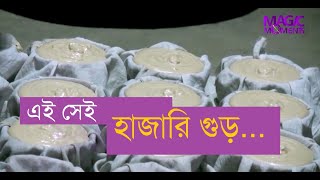 এই সেই হাজারি গুড় Hazari Gur of Manikganj [upl. by Oznohpla]