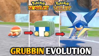 How To Evolve Grubbin Into Charjabug amp Vikavolt In Pokemon Scarlet amp Violet  The Teal Mask DLC [upl. by Hctub]