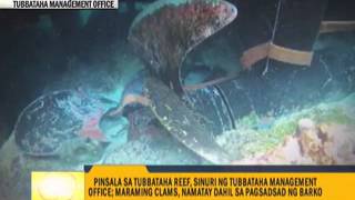 More damage found at Tubbataha Reef [upl. by Edaw]