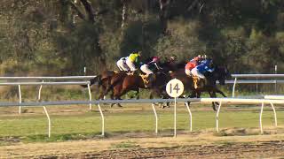 Goondiwindi 20240720 Race 5 [upl. by Anih]