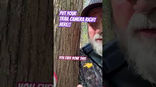 Trail camera tiphuntingoutdoorsautumnfall [upl. by Carolina]