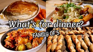 FAMILY DINNER IDEAS  EASY amp AFFORDABLE RECIPES [upl. by Yenial962]