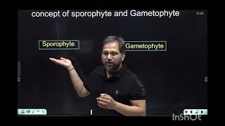 what is sporophyte and gametophyte animationsankalpbharat [upl. by Anwahsad811]