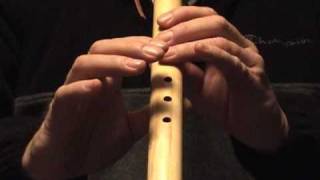 House of The Rising Sun 5 or 6 Hole Flute How to Play on the Native American Flute [upl. by Melany568]