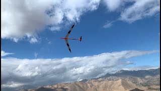 Swept Wing Transonic DP [upl. by Legra]