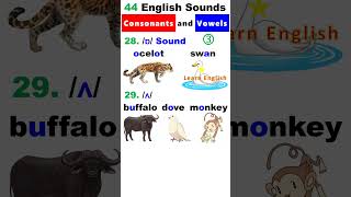 English Speaking Practice  Difficult Pronunciations [upl. by Blakely]