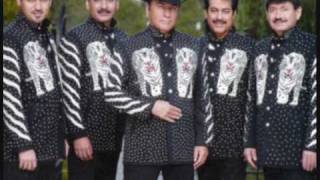 Los tigres del norte La mesa del rincón Lyrics [upl. by Akemahs132]