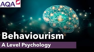 ALevel Psychology  Behaviourism [upl. by Assiled]