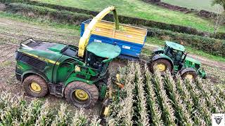 Maize harvest with Tinsley contracts [upl. by Loris]