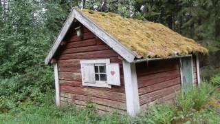 Undersöker övergivet 1700talstorp  Historia om huset [upl. by Codie]