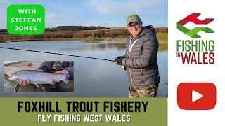 FLY FISHING in West Wales  FOXHILL Trout Fishery Pembrokeshire  HOW TO fish a NEW Trout Lake [upl. by Elohcin17]