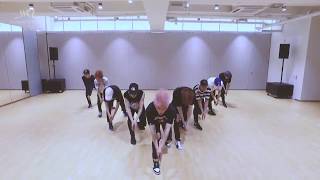 mirrored NCT 127  CHERRY BOMB CHERRY Ver Dance Practice Video [upl. by Alejna704]