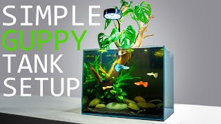 How to Setup a Simple Guppy Fish Tank TUTORIAL [upl. by Namruht]