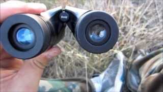 Bushnell Perma Focus Binocular Review by MUDD CREEK [upl. by Hoang129]