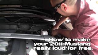 How To Make Your 2011 Mustang Really Loud For Free [upl. by Aneloaup102]