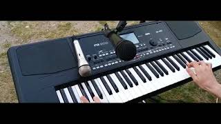 Alex Radu  Rapirea din Serai  Cover Korg PA 300 [upl. by Sahcnip73]