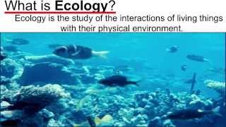 What is Ecology [upl. by Margie104]