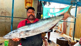 KASIMEDU 🔥 SPEED SELVAM  8 KG HUGE SEER FISH CUTTING  IN KASIMEDU  HD VIDEO  FF CUTTING 🔪 [upl. by Aneej982]