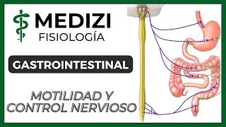 Clase 43 Fisiología Gastrointestinal  Motilidad y Control Nervioso IGdoctorpaiva [upl. by Morentz]