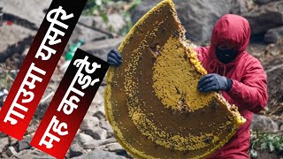 गाउँ घरमा यसरि कडिञ्छ मौरी EP1। Hunting Honey In Village। Honey Hunters of Nepal l MAILA VLOGl [upl. by Grenville]