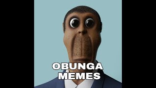 OBUNGA MEMES COMPILATION [upl. by Taddeo]