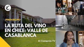 Recorre la ruta del Vino en Chile Conoce las variedades de Uva en Casablanca Prov VideosEC [upl. by Asselem]