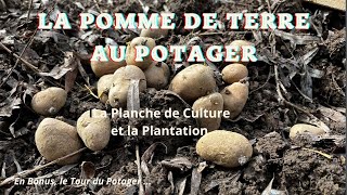 La Pomme de Terre au Potager [upl. by Artemed]