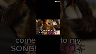 Weiner dog song [upl. by Schultz]