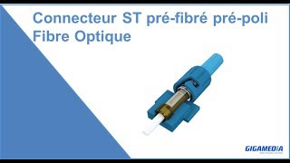 Fibre optique connecteur ST préfibré prépoli [upl. by Chita]