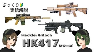 【実銃解説】HK417についてざっくりわかりやすく解説していきます！ [upl. by Aklim]