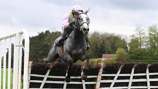 LOSSIEMOUTH completes CheltenhamPunchestown double [upl. by Selima]