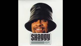 Shaggy  Hope Dj Zaylo Remix [upl. by Langsdon682]