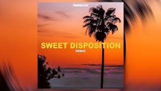 The Temper Trap  Sweet Disposition TWINSICK Remix [upl. by Naesar]