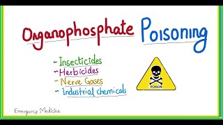 organophosphate poisoning  symptoms emergency management [upl. by Gillmore]