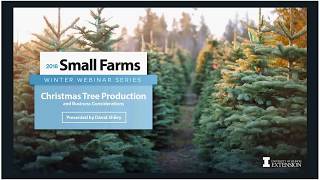 How to Start Your Own Christmas Tree Farm [upl. by Bettye]