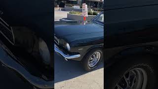 Clean Fastback stang [upl. by Yessac418]