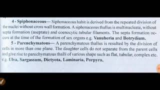 Siphonaceous and parenchymatous thallus of algae BSc 1st year [upl. by Nwahsuq]