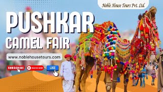 Pushkar Camel Fair India 2024 The Worlds Biggest Camel Festival  Noble House Tours Pvt Ltd [upl. by Ecirtak]