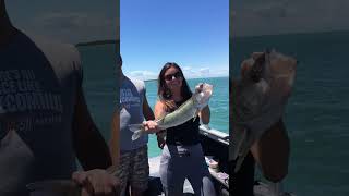 😍 LAKE ERIE WALLEYE 🎣 Capt Ken’s  DuckWater 32’ 📍Port Clinton OH shorts [upl. by Dorcus]