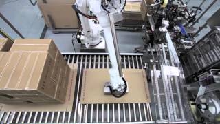 Robotic Case Packer and Palletiser [upl. by Nameerf]